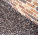 termite classification1